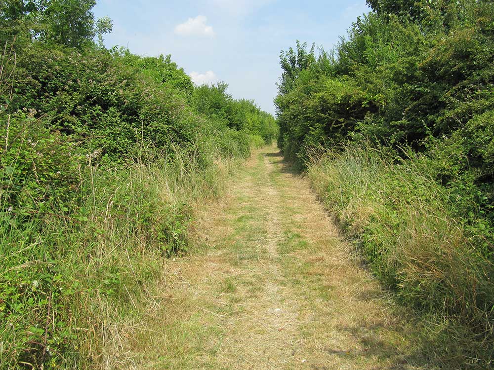 Disused Railway Line, South Malling LWS